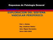 Esquemas de Patolog