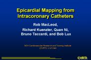 Epicardial Mapping from Intracoronary Catheters