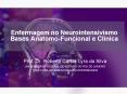 Enfermagem no Neurointensivismo Bases Anatomo-Funcional e Cl PowerPoint PPT Presentation