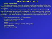 THE URINARY TRACT
