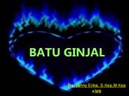 BATU GINJAL