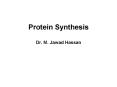 Protein Synthesis Dr. M. Jawad Hassan PowerPoint PPT Presentation