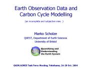 Earth Observation Data and Carbon Cycle Modelling