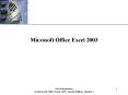 New Perspectives on Microsoft Office Excel 2003, Second Edition- Tutorial 1 PowerPoint PPT Presentation
