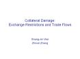 Collateral Damage: Exchange Restrictions and Trade Flows PowerPoint PPT Presentation