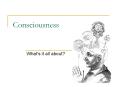 Consciousness PowerPoint PPT Presentation