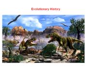 History of Life