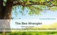 Bee Removal | Wasp Removal Melbourne by beewrangler.com.au PowerPoint PPT Presentation