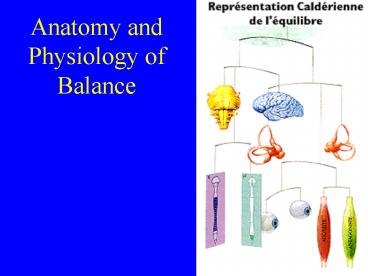 Anatomy and Physiology of Balance
