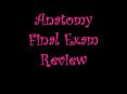 Anatomy Final Exam Review PowerPoint PPT Presentation