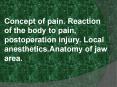 Concept of pain. Reaction of the body to pain, postoperation injury. Local anesthetics.Anatomy of jaw area. PowerPoint PPT Presentation