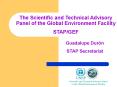 The Scientific and Technical Advisory Panel of the Global Environment Facility PowerPoint PPT Presentation