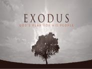 Exodus 7 
