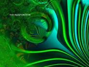 The Rainforest