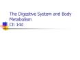 The Digestive System and Body Metabolism Ch 14d PowerPoint PPT Presentation