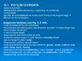 12.1 - PHYLUM CHORDATA PowerPoint PPT Presentation