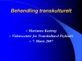 Behandling transkulturelt PowerPoint PPT Presentation