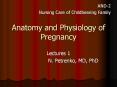 Anatomy and Physiology of Pregnancy PowerPoint PPT Presentation