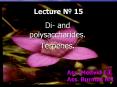 Di- and polysaccharides. PowerPoint PPT Presentation