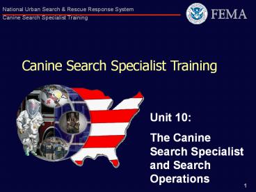 Canine Search Specialist Training
