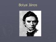 Bolyai J