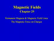Magnetic Fields Chapter 29