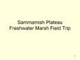 Sammamish Plateau Freshwater Marsh Field Trip PowerPoint PPT Presentation