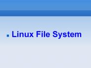 Linux File System