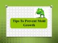 Hire Mold Inspection Company for a Hygienic Home PowerPoint PPT Presentation
