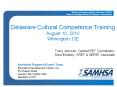 Delaware Cultural Competence Training PowerPoint PPT Presentation