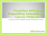 Physician Attitudes: Prescribing Cannabis to Cancer Patients