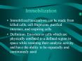 Immobilization PowerPoint PPT Presentation