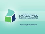 Calculating Financial Ratios