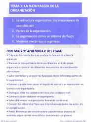 TEMA 1: LA NATURALEZA DE LA ORGANIZACI
