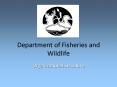 Department of Fisheries and Wildlife PowerPoint PPT Presentation
