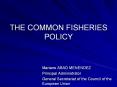 THE COMMON FISHERIES POLICY PowerPoint PPT Presentation