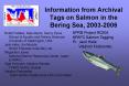 Information from Archival Tags on Salmon in the Bering Sea, 2003-2006 PowerPoint PPT Presentation