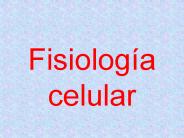 Fisiolog