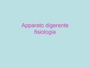 Apparato digerente fisiologia