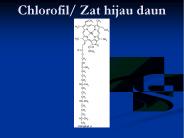 Chlorofil/ Zat hijau daun