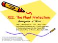 XII. The Plant Protection PowerPoint PPT Presentation