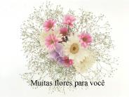Muitas flores para voc