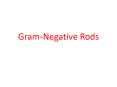 Gram-Negative Rods PowerPoint PPT Presentation