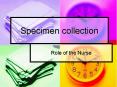 Specimen collection PowerPoint PPT Presentation