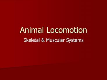 Animal Locomotion