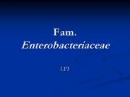 Fam. Enterobacteriaceae