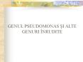 GENUL PSEUDOMONAS SI ALTE GENURI  PowerPoint PPT Presentation