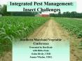 Integrated Pest Management: Insect Challenges PowerPoint PPT Presentation