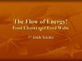 The Flow of Energy! Food Chains and Food Webs PowerPoint PPT Presentation