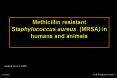 5-AB Resistance mrsas -1 PowerPoint PPT Presentation